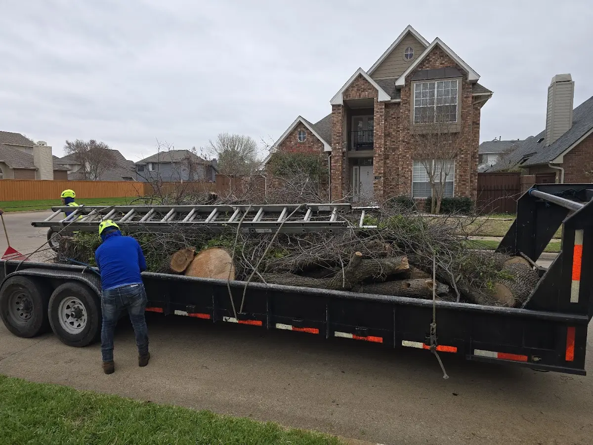 Expert Tree Removal with proper safety equipment in Oakton